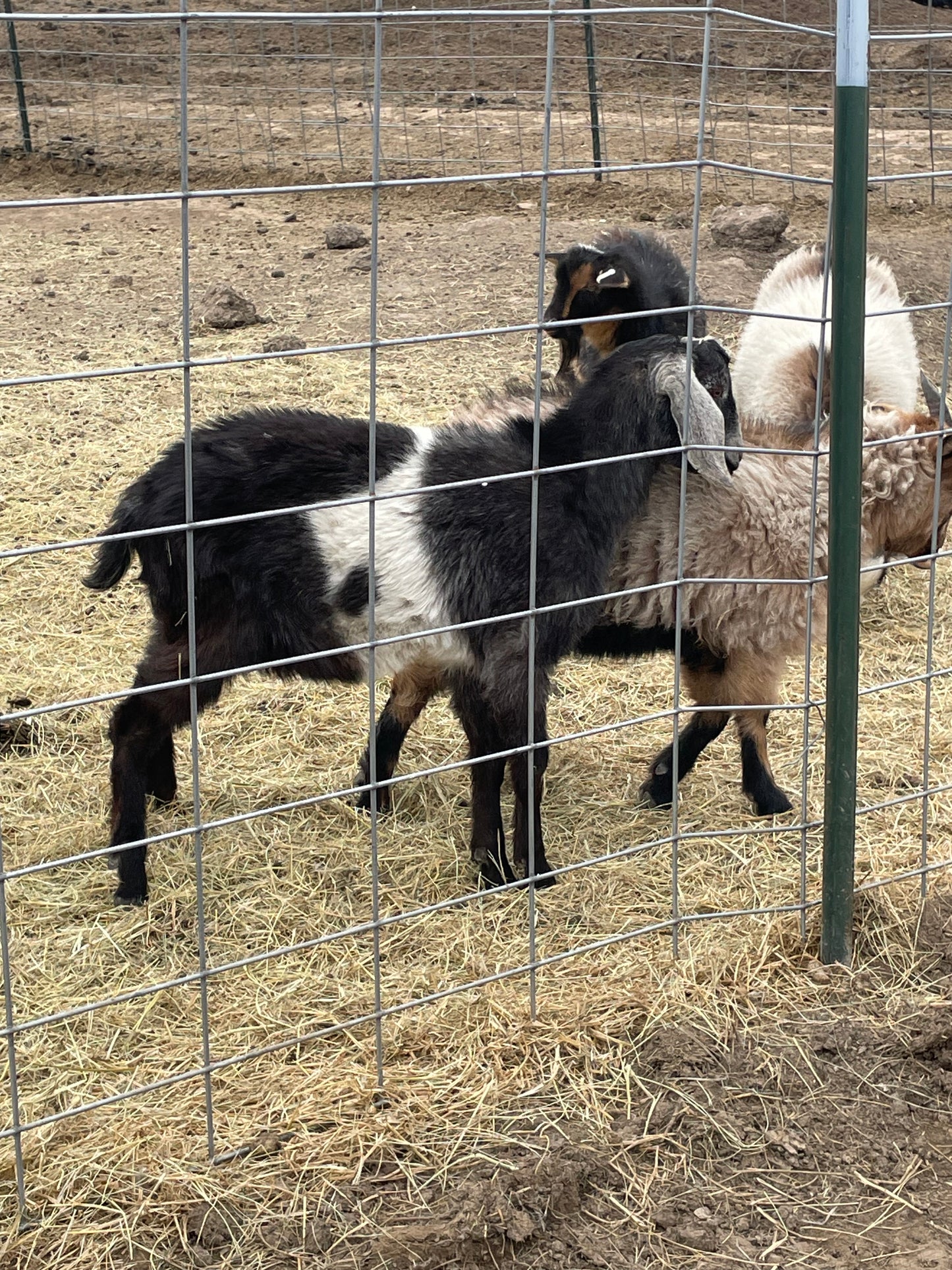 Farm Tours in Hot Springs SD