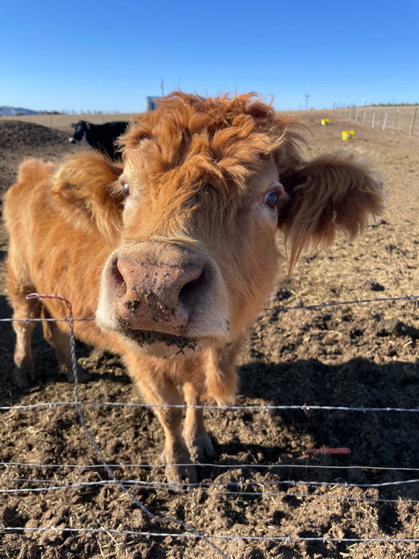 Farm Tours in Hot Springs SD