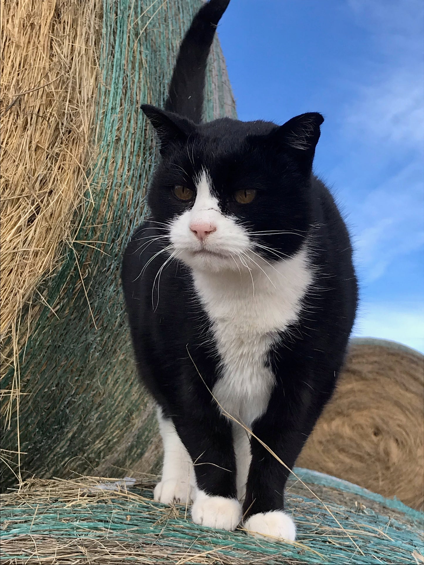 Farm Tours in Hot Springs SD