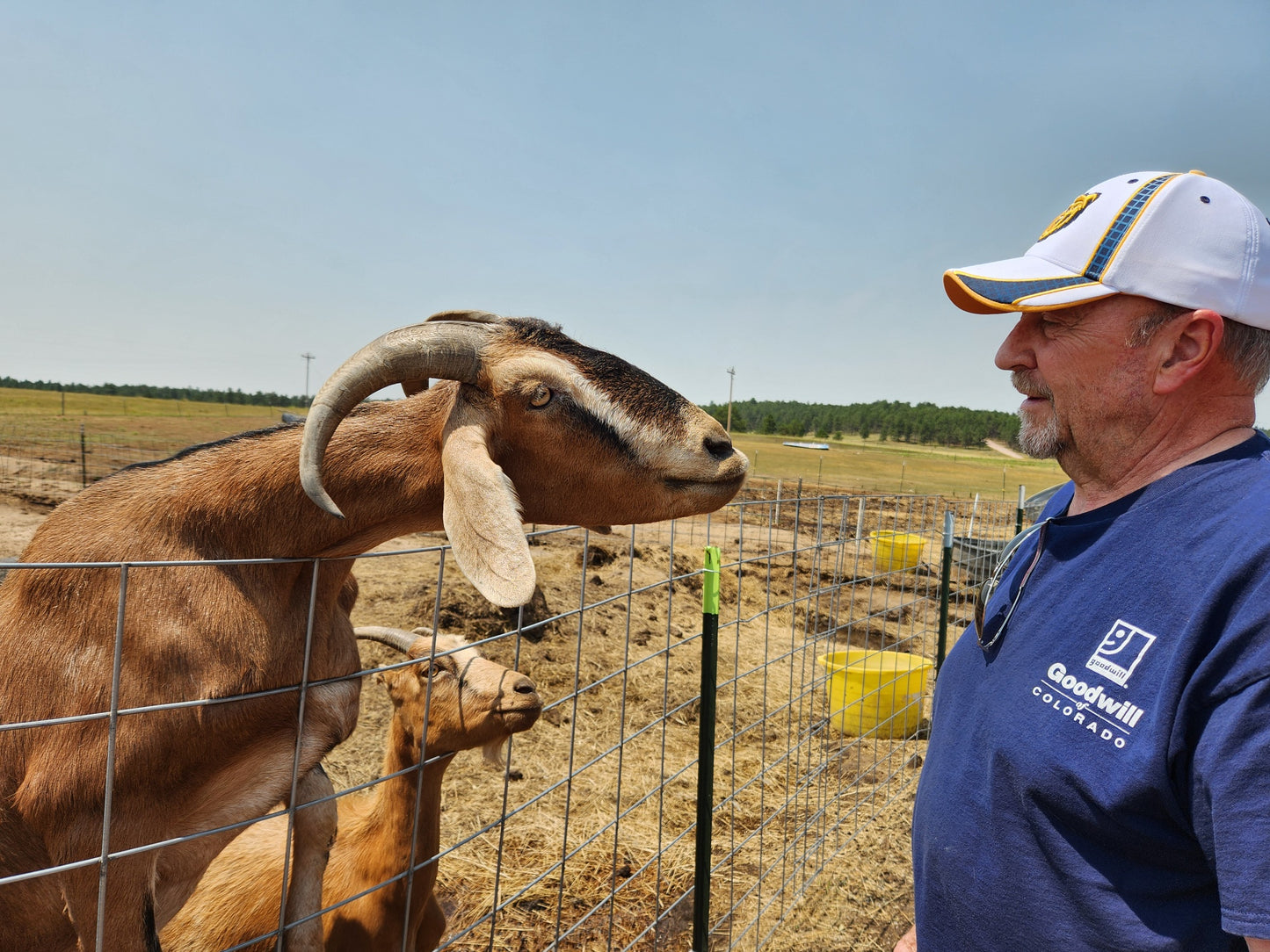 Farm Tours in Hot Springs SD